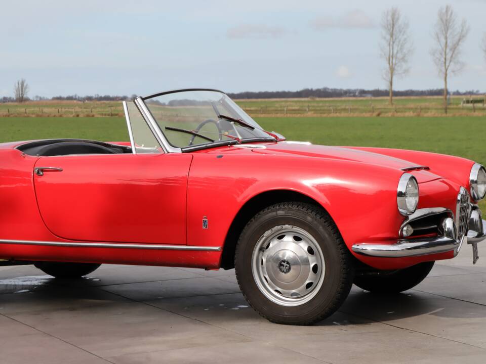 Bild 40/50 von Alfa Romeo Giulia 1600 Spider Veloce (1965)