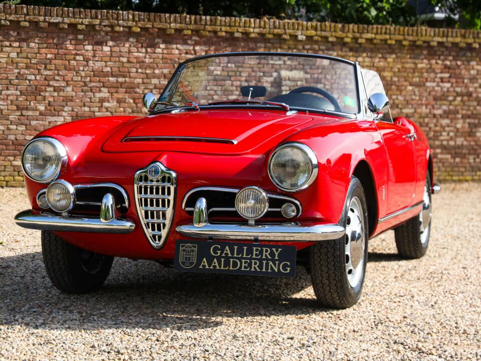 Bild 9/50 von Alfa Romeo Giulia 1600 Spider Veloce (1965)