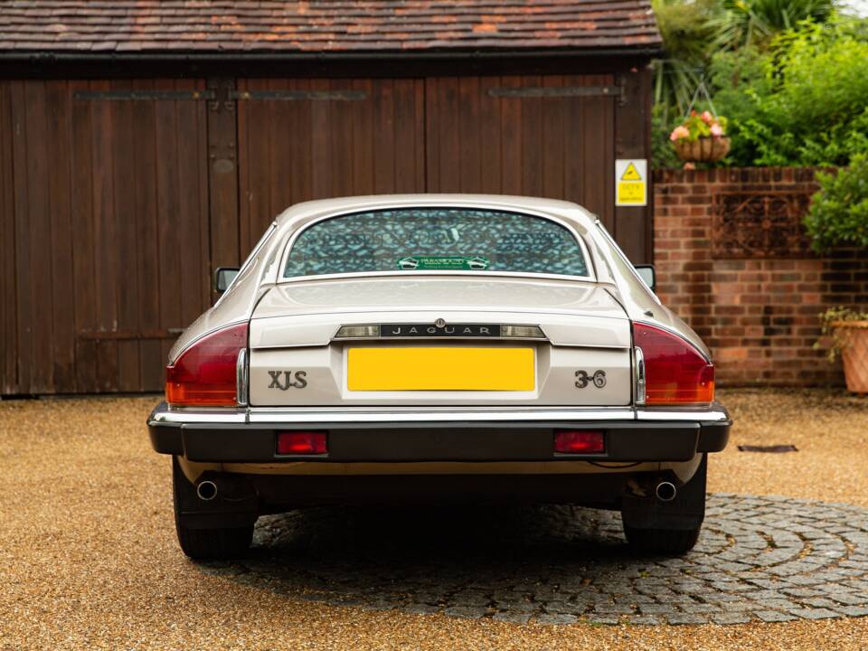 Immagine 10/40 di Jaguar XJ-S 3.6 (1988)