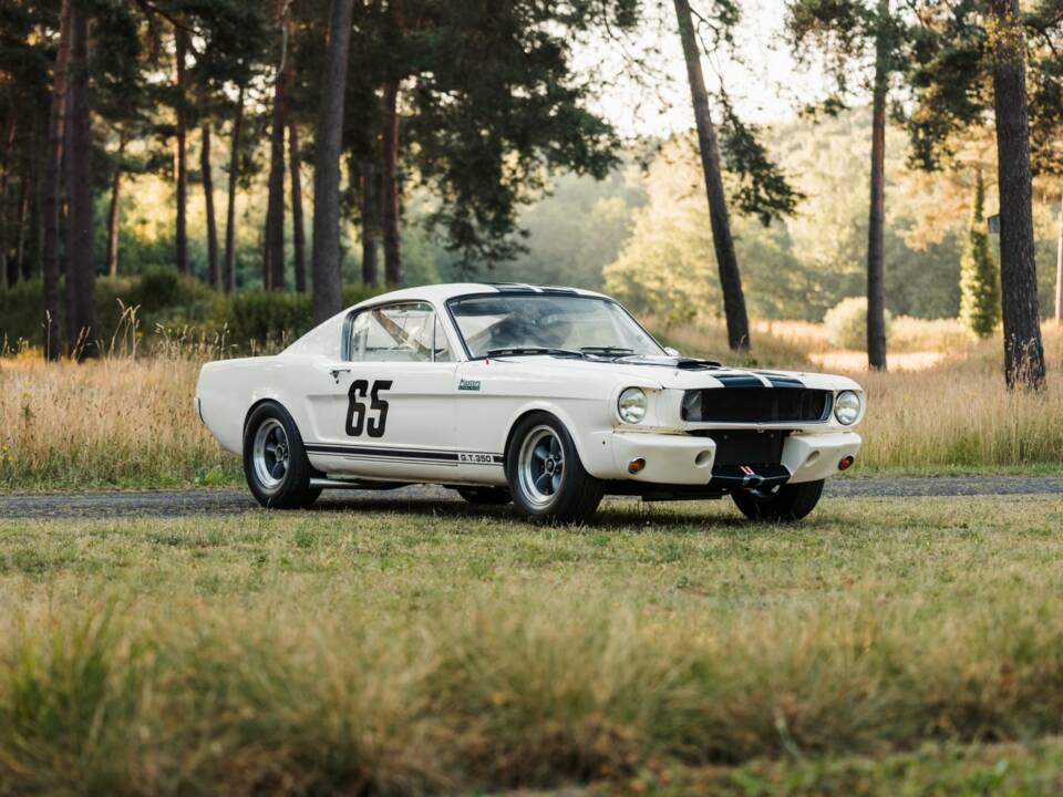 Imagen 7/19 de Ford Shelby GT 350 (1965)