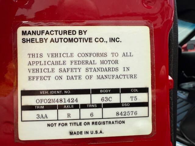 Image 30/31 of Ford Shelby GT 350 (1970)