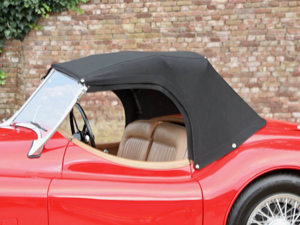 Image 13/50 of Jaguar XK 120 SE OTS (1954)