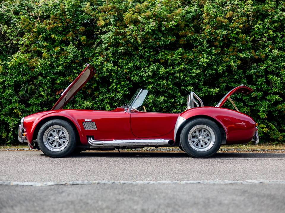 Bild 15/50 von Dax Cobra (1976)