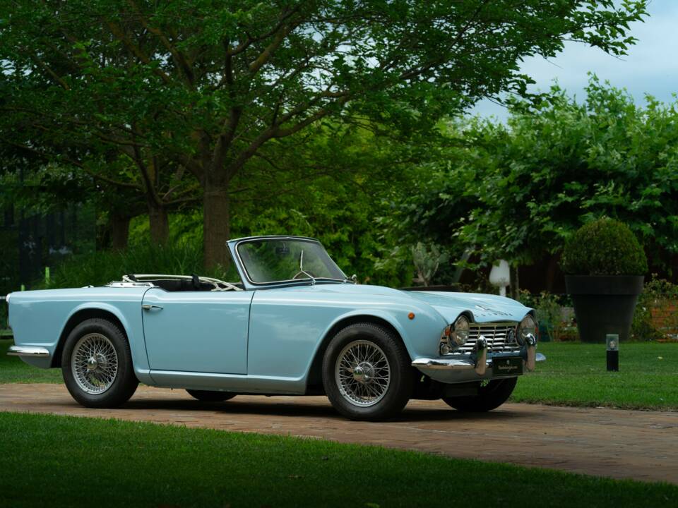 Imagen 7/50 de Triumph TR 4 (1963)