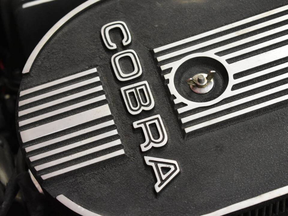 Afbeelding 48/50 van Everett-Morrison Shelby Cobra (1988)