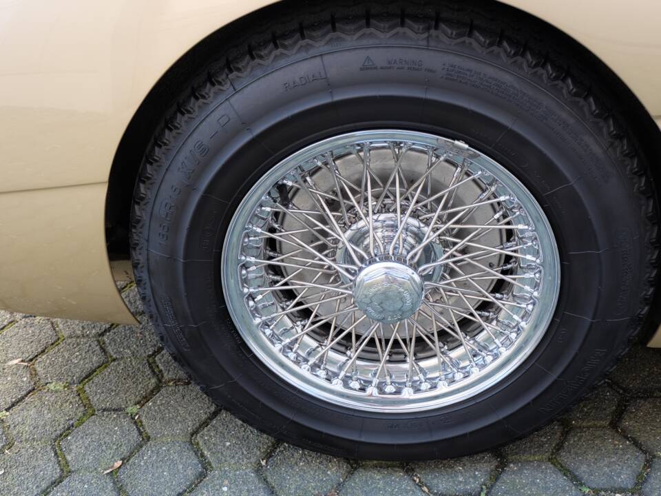 Image 60/68 of Austin-Healey 3000 Mk III (BJ8) (1965)