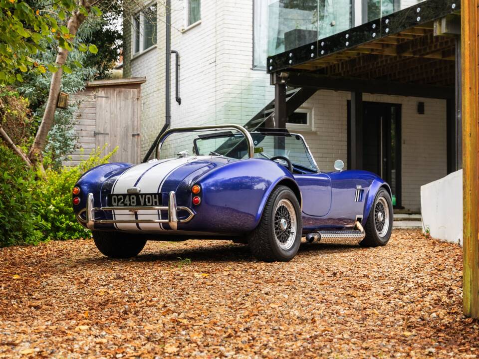 Bild 27/50 von AC Cobra 289 (1997)