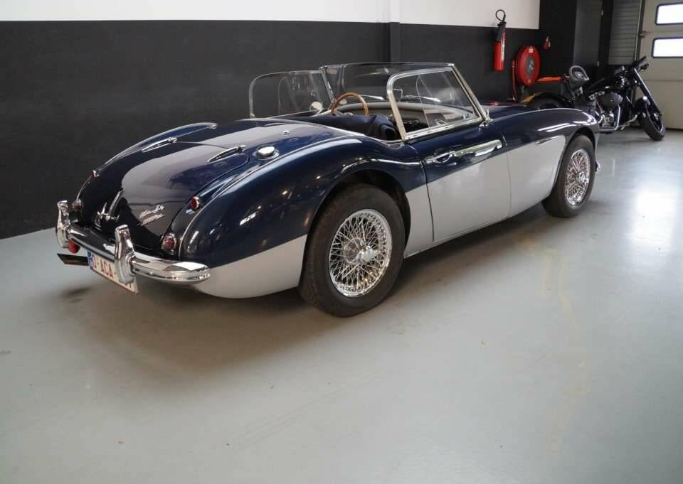 Immagine 40/50 di Austin-Healey 3000 Mk II (BN7) (1961)