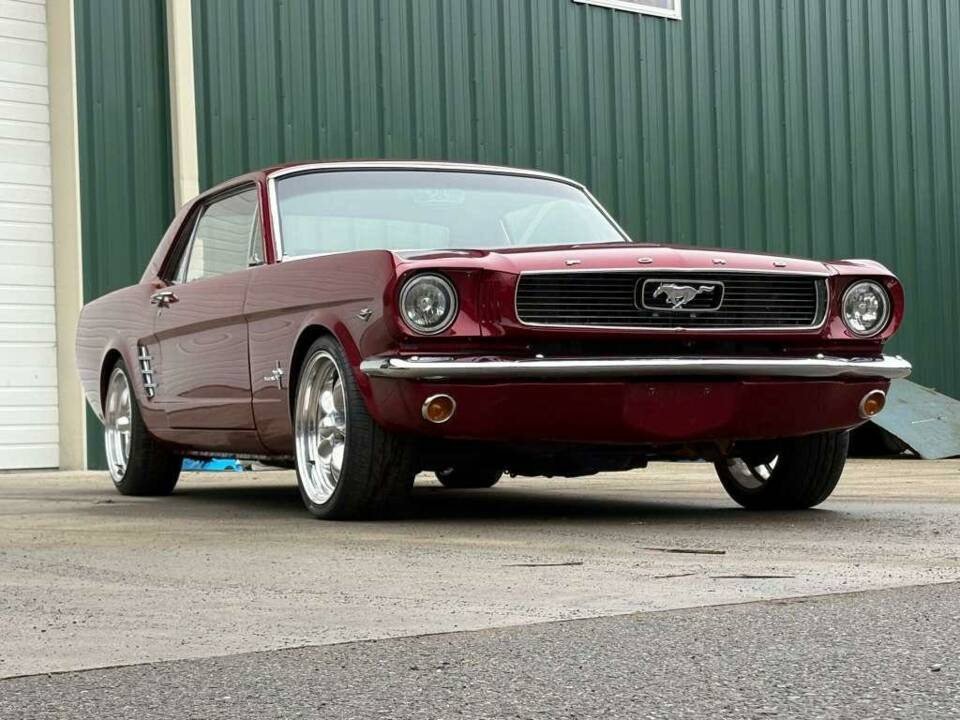 Bild 13/47 von Ford Shelby GT 350 (1966)