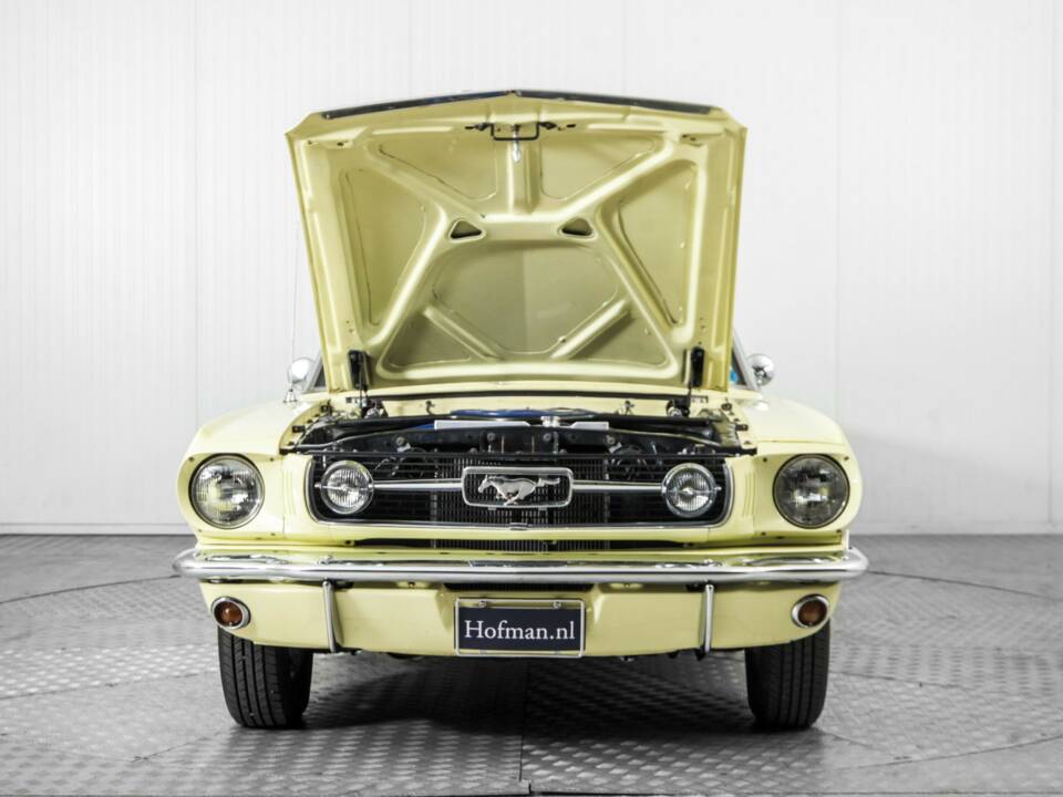Immagine 44/50 di Ford Mustang 289 (1965)