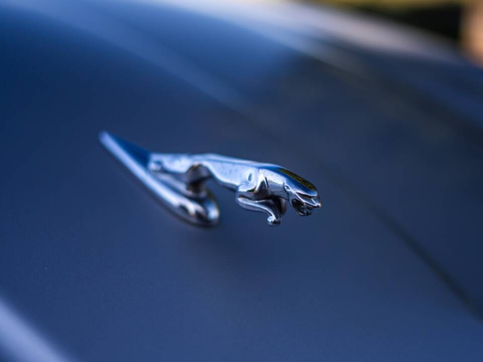 Image 27/50 of Jaguar XJ 8 4.2 (2003)