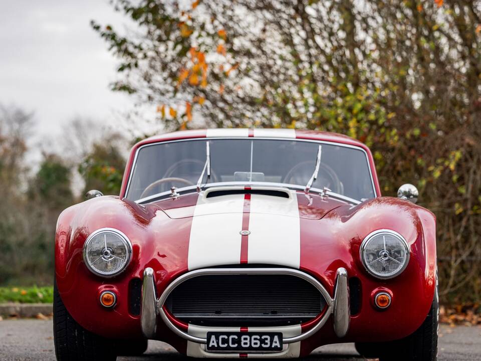 Afbeelding 8/50 van AC Cobra 289 (2000)