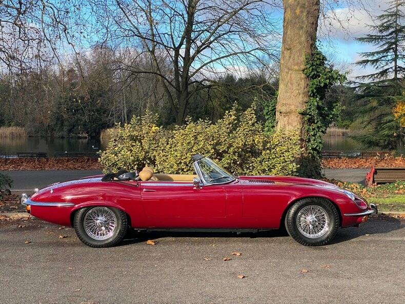 Immagine 5/50 di Jaguar Type E V12 (1973)