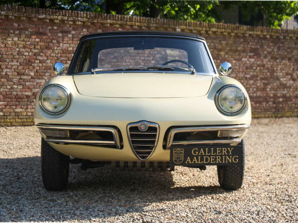 Image 17/50 of Alfa Romeo 1600 Duetto (1967)