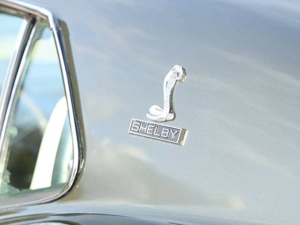 Image 23/50 of Ford Shelby GT 500 (1969)