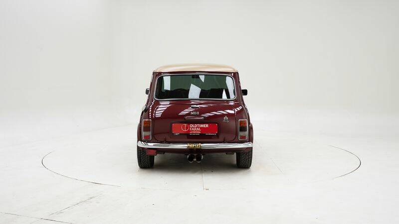 Bild 7/15 von Mini 1000 (1990)