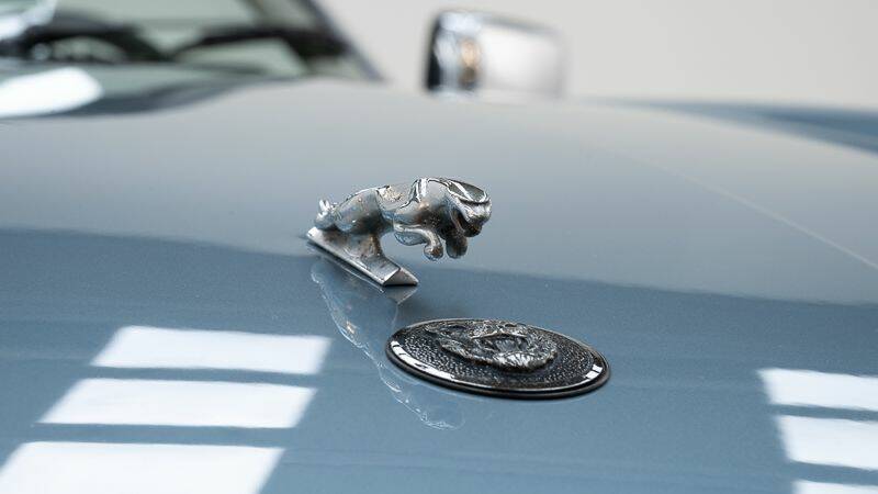 Afbeelding 13/15 van Jaguar XJS 5.3 V12 (1990)