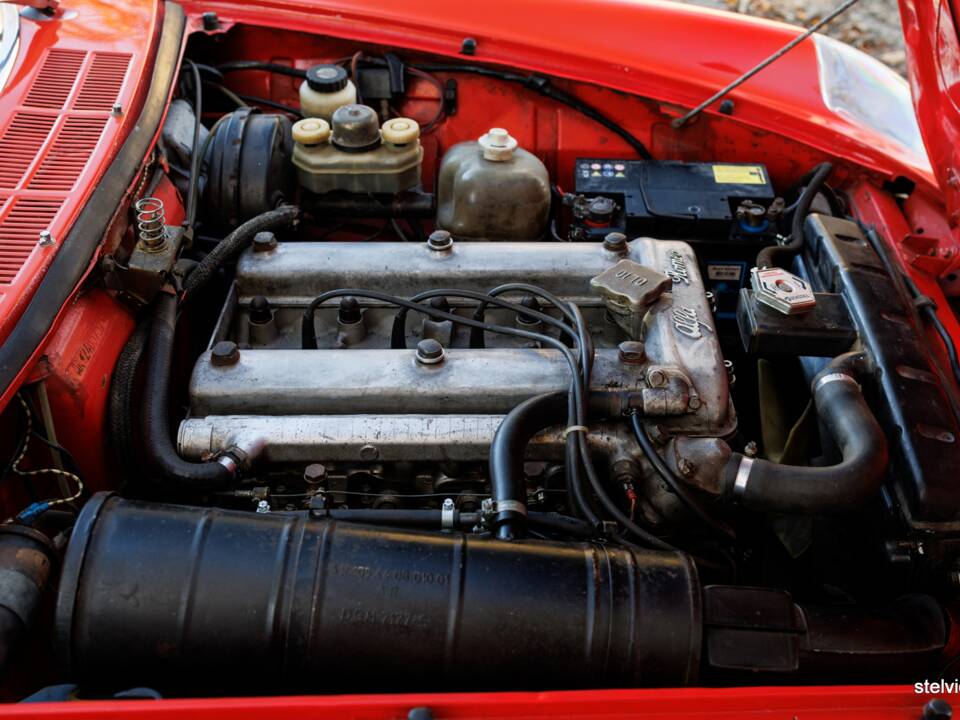 Image 34/43 of Alfa Romeo Spider Veloce 2000 (1976)