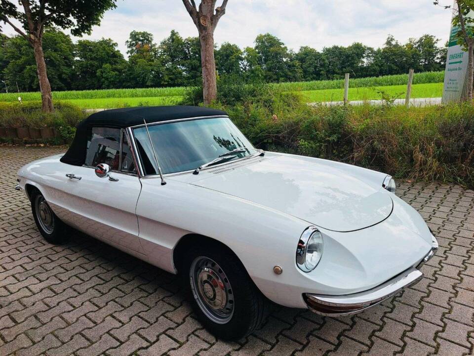Bild 4/20 von Alfa Romeo 1750 Spider (1969)