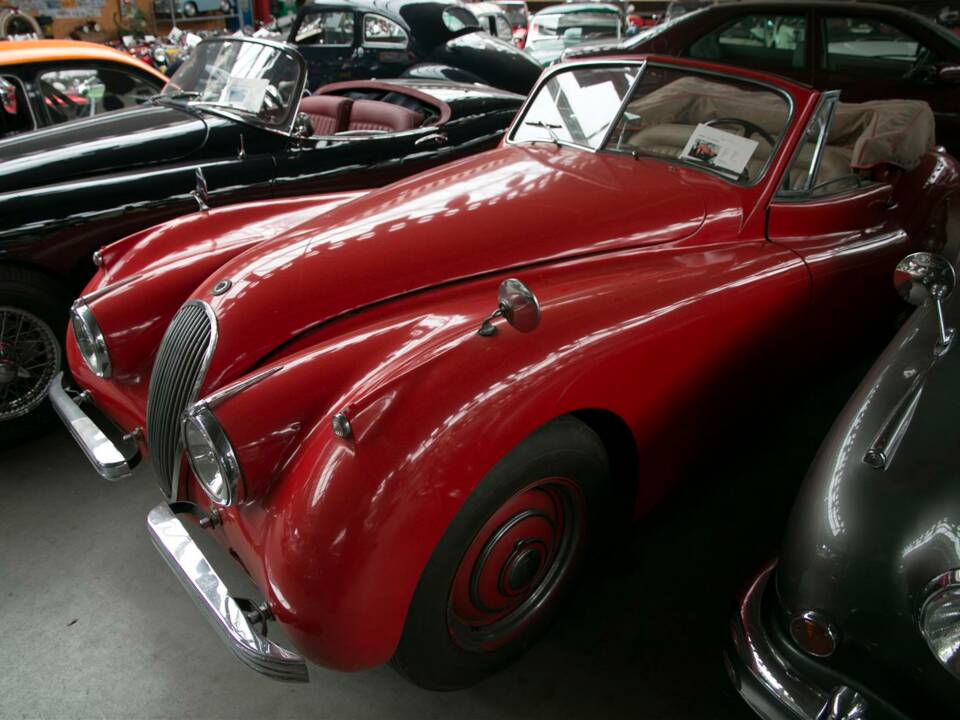 Afbeelding 16/46 van Jaguar XK 120 DHC (1954)