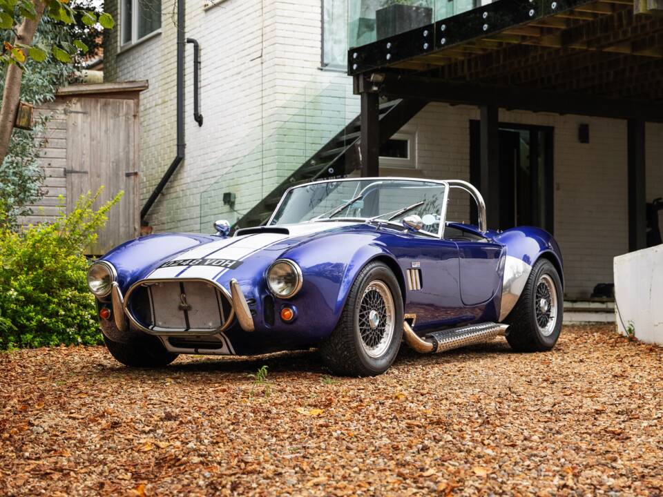 Bild 20/50 von AC Cobra 289 (1997)