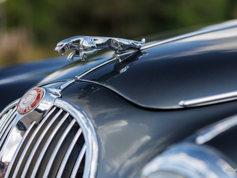 Bild 17/55 von Jaguar Mk II 3.8 (1963)