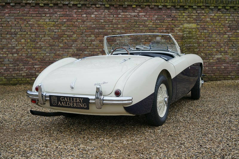 Image 34/50 of Austin-Healey 100&#x2F;4 (BN1) (1955)