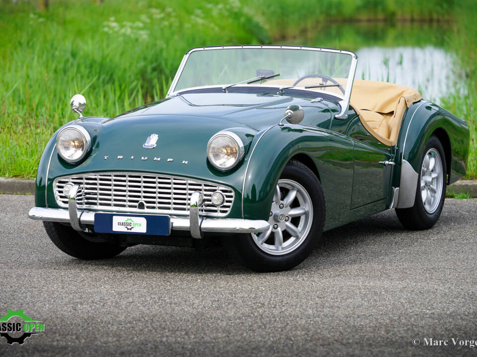 Image 16/41 of Triumph TR 3A (1959)