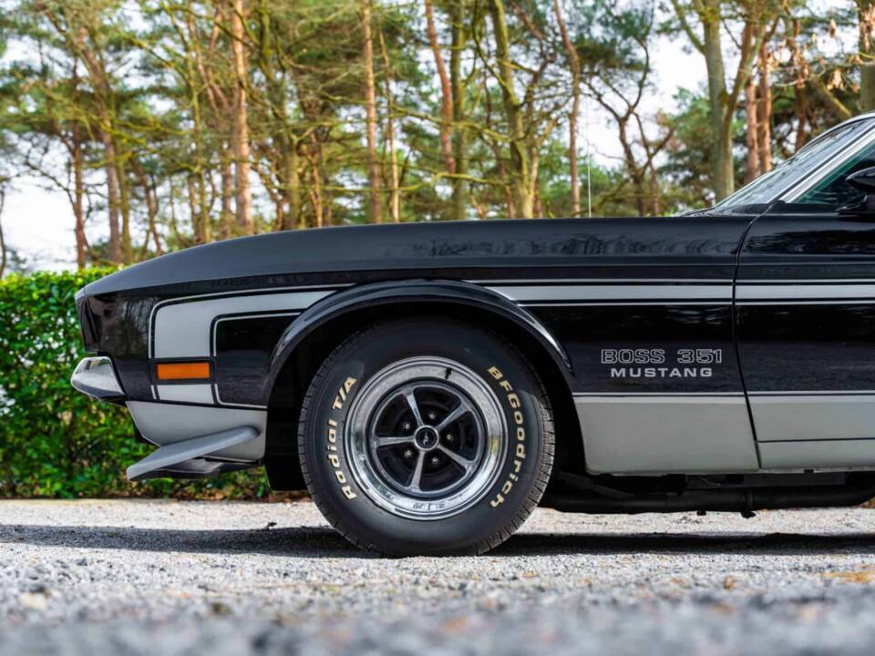 Immagine 12/48 di Ford Mustang Boss 351 (1970)
