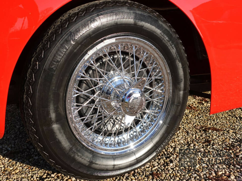 Image 12/50 of Jaguar XK 120 OTS (1954)