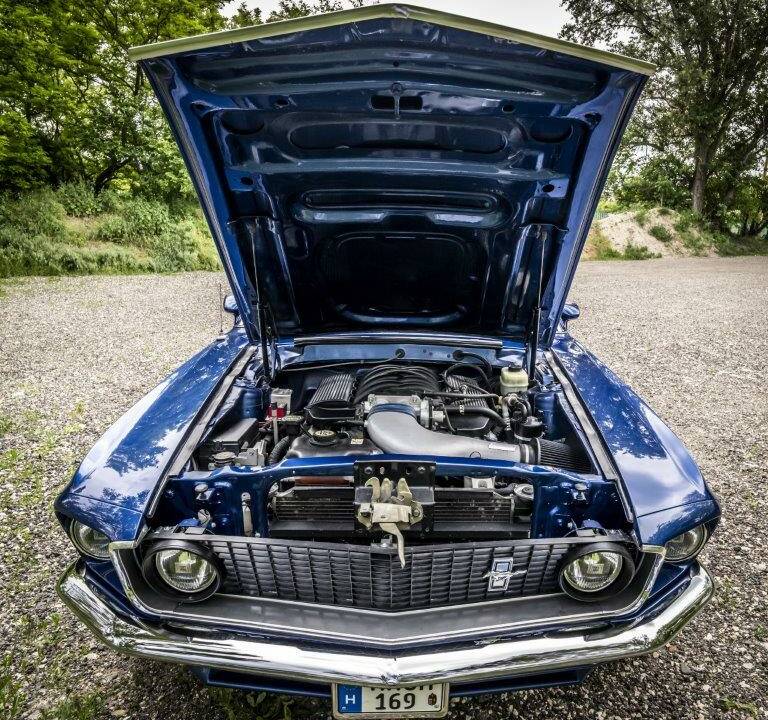 Bild 6/6 von Ford Mustang GT (1969)