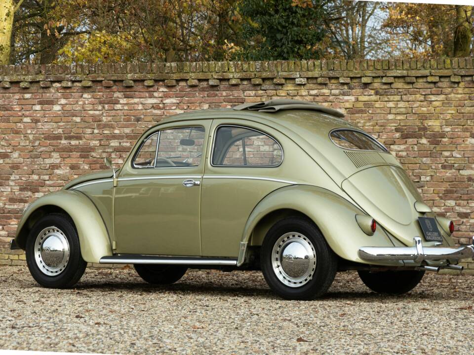 Bild 41/50 von Volkswagen Beetle 1200 Standard "Oval" (1956)