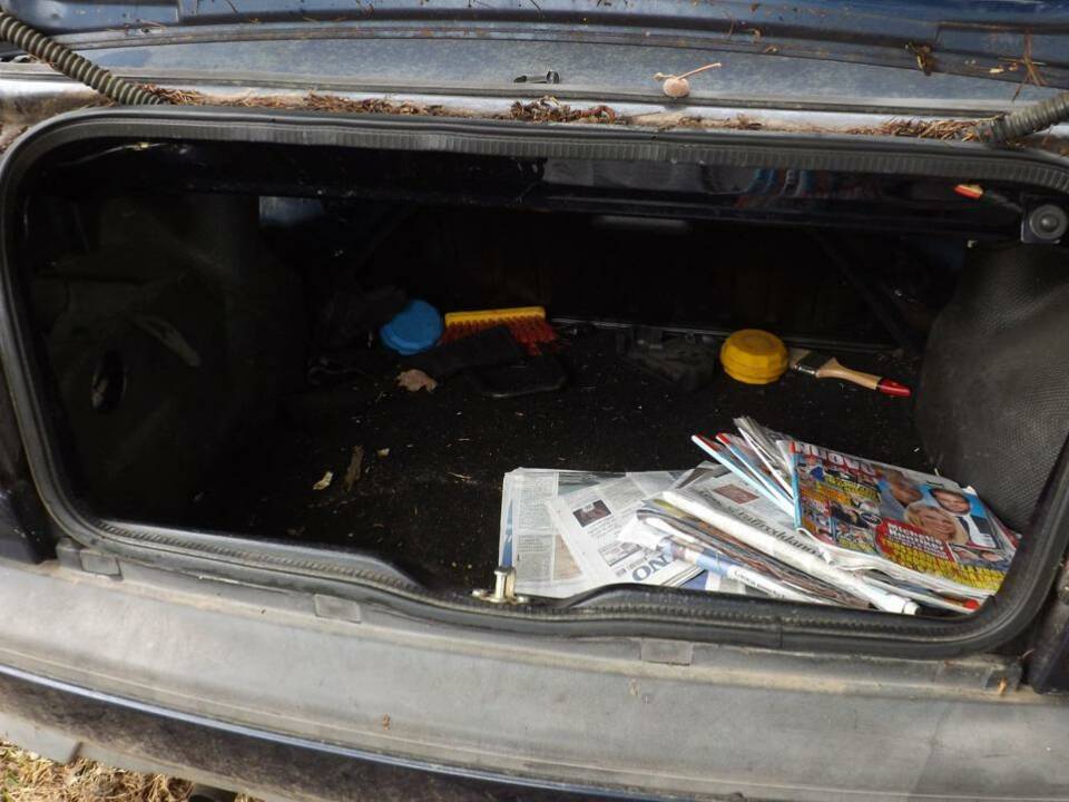 Image 24/50 of Volkswagen Golf III Cabrio 1.6 (1996)