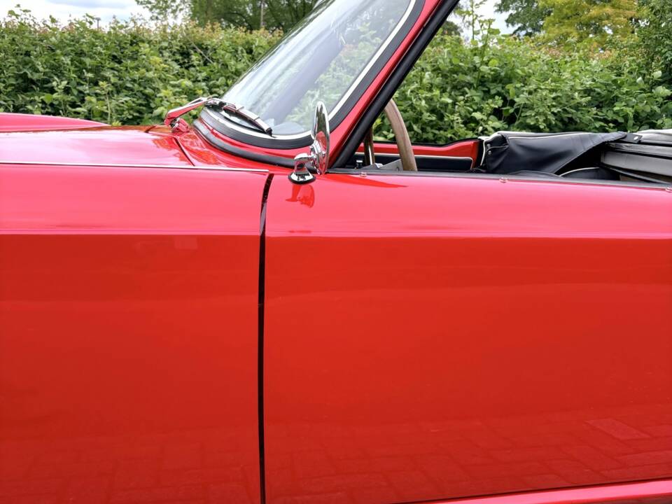 Immagine 31/50 di Triumph TR 4 (1961)
