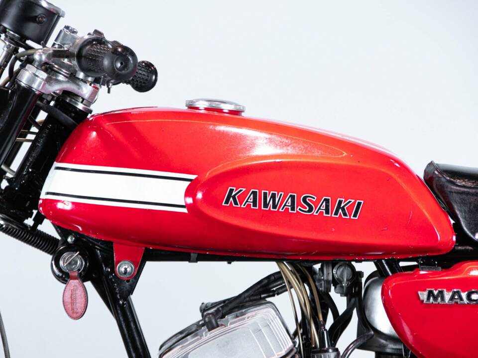 Immagine 19/50 di Kawasaki DUMMY (1970)