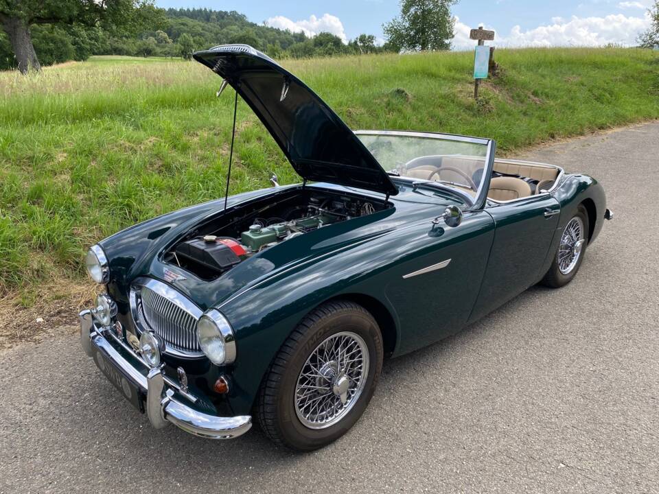 Bild 26/28 von Austin-Healey 3000 Mk II (BT7) (1962)