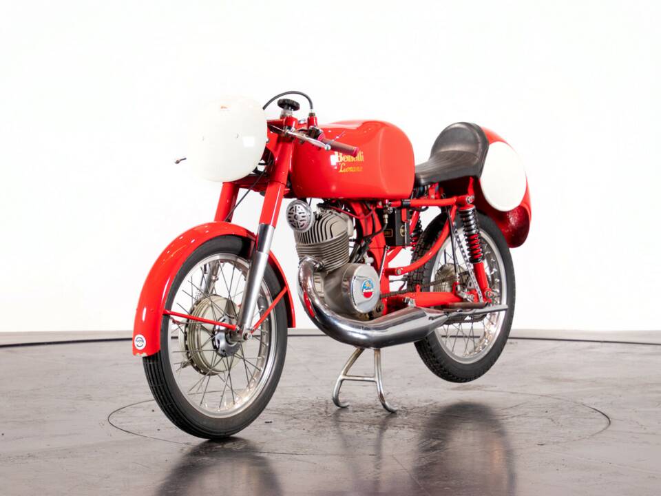 Imagen 6/17 de Benelli Leoncino Bassotto (1954)