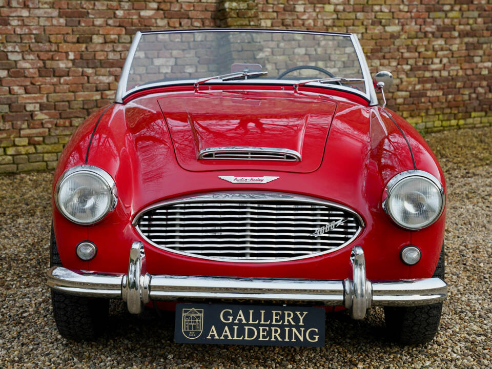 Bild 5/50 von Austin-Healey 3000 Mk I (BT7) (1961)