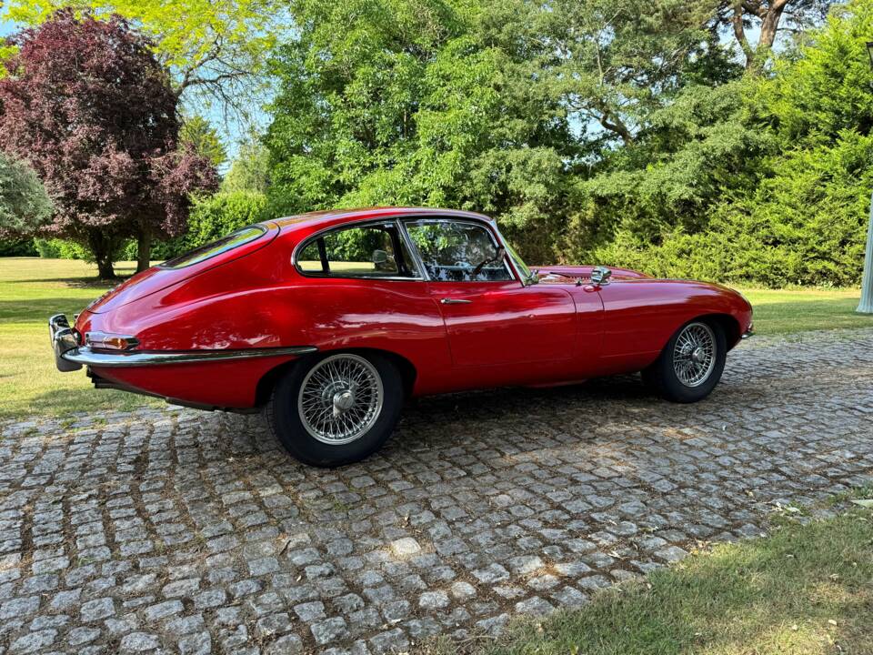 Bild 10/30 von Jaguar E-Type 4.2 (1966)