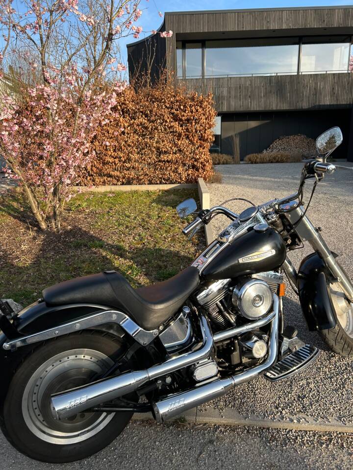 Zwischen Blüte und Beton. Diese Harley kennt beide Seiten des Lebens.