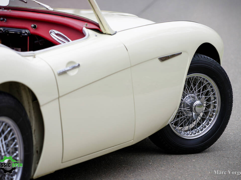 Immagine 45/50 di Austin-Healey 3000 Mk II (BT7) (1961)