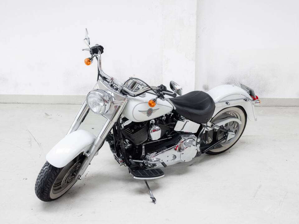 Image 3/34 of Harley-Davidson DUMMY (2002)