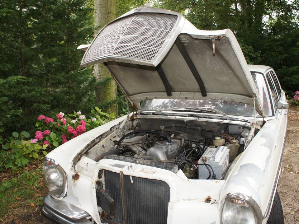 Imagen 8/22 de Mercedes-Benz 250 SE (1967)