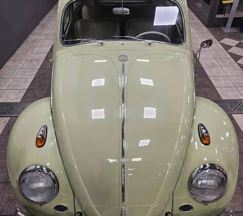 Image 4/15 of Volkswagen Beetle 1200 Standard "Dickholmer" (1963)