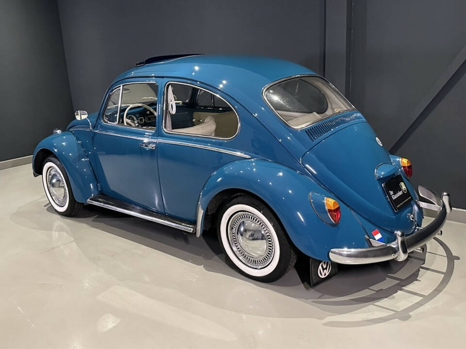 Bild 20/20 von Volkswagen Beetle 1200 A (1964)