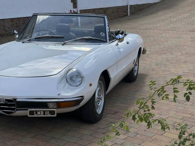 Bild 28/50 von Alfa Romeo Spider Veloce 2000 (1972)