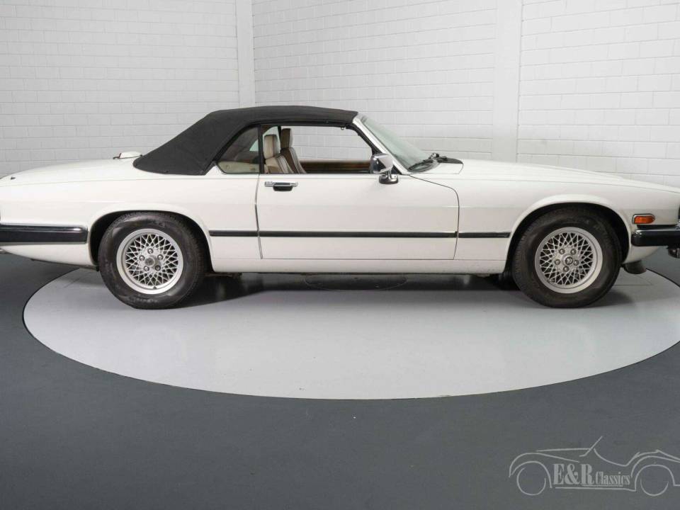 Immagine 16/19 di Jaguar XJS 5.3 V12 (1991)