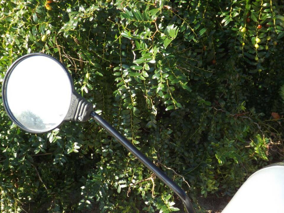 Bild 30/43 von Piaggio Vespa 125 Primavera (1973)