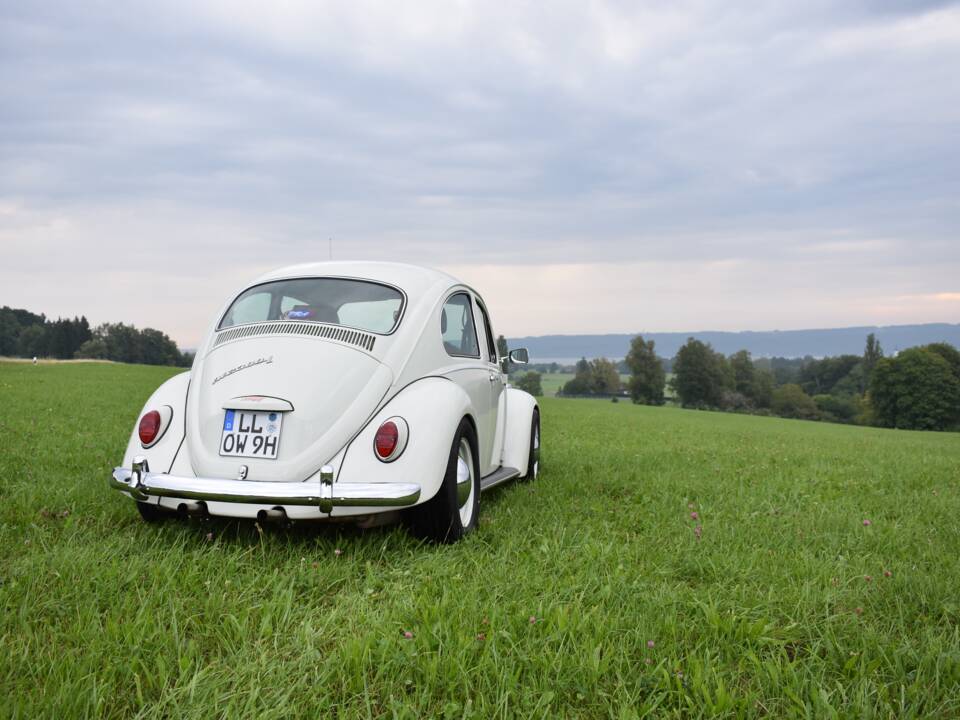Bild 42/56 von Volkswagen Käfer 1300 (1968)