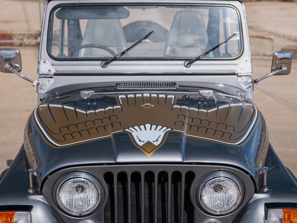 Bild 34/50 von Jeep CJ-7 Renegade (1982)